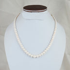 Royal Grace Pearl Necklace